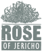 Rose of Jericho logo